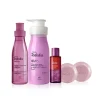 kit avellana cassis tododia natura